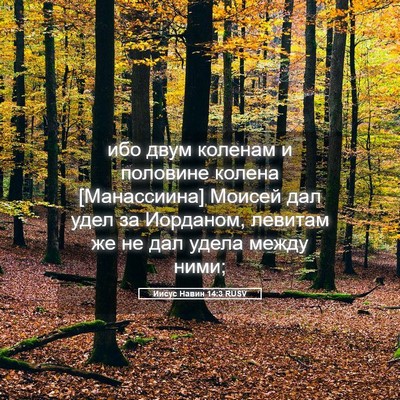 Picture 05 - Иисус Навин 14:3 RUSV - ибо двум коленам и - Bible Verse Picture