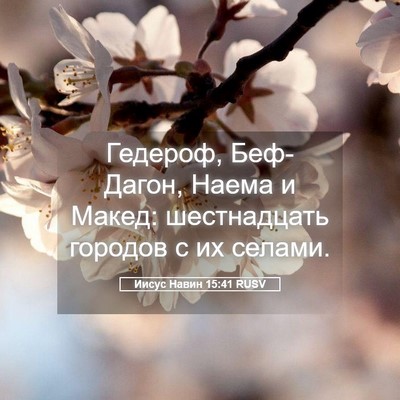 Picture 05 - Иисус Навин 15:41 RUSV - Гедероф, Беф-Дагон, Наема и - Bible Verse Picture