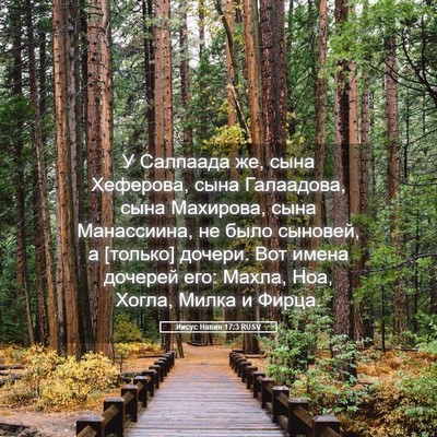 Picture 05 - Иисус Навин 17:3 RUSV - У Салпаада же, сына - Bible Verse Picture