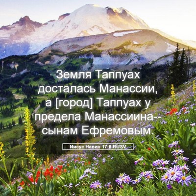 Picture 05 - Иисус Навин 17:8 RUSV - Земля Таппуах досталась - Bible Verse Picture