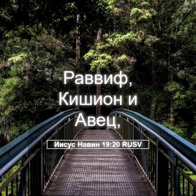 Picture 05 - Иисус Навин 19:20 RUSV - Раввиф, Кишион и - Bible Verse Picture