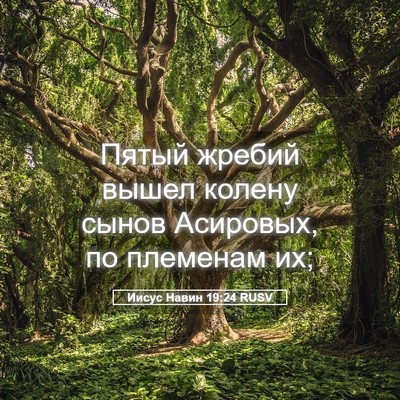 Picture 05 - Иисус Навин 19:24 RUSV - Пятый жребий вышел колену - Bible Verse Picture