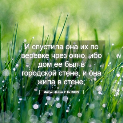 Picture 05 - Иисус Навин 2:15 RUSV - И спустила она их по - Bible Verse Picture
