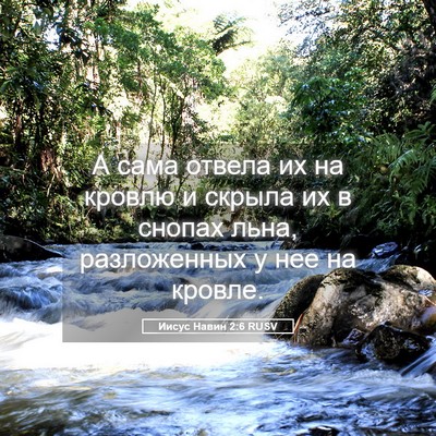 Picture 05 - Иисус Навин 2:6 RUSV - А сама отвела их на кровлю - Bible Verse Picture