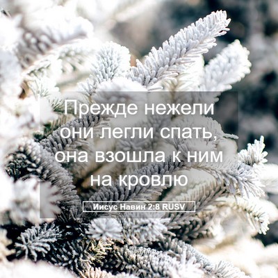 Picture 05 - Иисус Навин 2:8 RUSV - Прежде нежели они легли - Bible Verse Picture