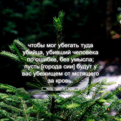 Picture 05 - Иисус Навин 20:3 RUSV - чтобы мог убегать туда - Bible Verse Picture