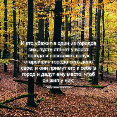 Picture 05 - Иисус Навин 20:4 RUSV - И кто убежит в один из - Bible Verse Picture