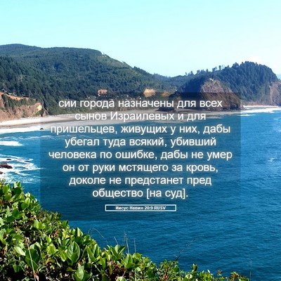 Picture 05 - Иисус Навин 20:9 RUSV - сии города назначены для - Bible Verse Picture
