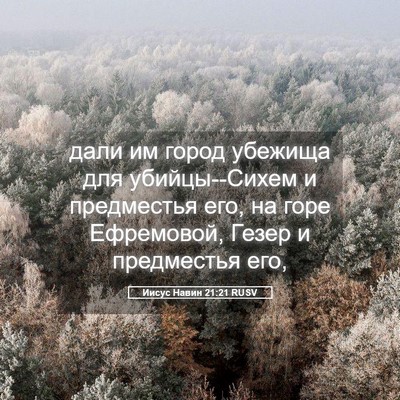 Picture 05 - Иисус Навин 21:21 RUSV - дали им город убежища для - Bible Verse Picture