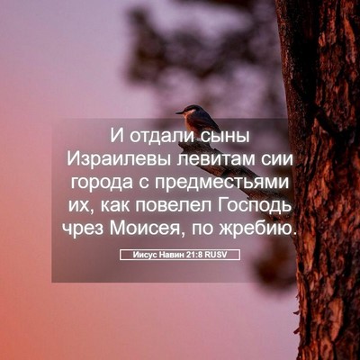Picture 05 - Иисус Навин 21:8 RUSV - И отдали сыны Израилевы - Bible Verse Picture