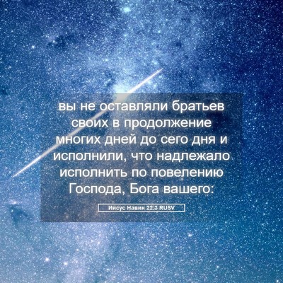 Picture 05 - Иисус Навин 22:3 RUSV - вы не оставляли братьев - Bible Verse Picture