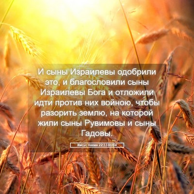 Picture 05 - Иисус Навин 22:33 RUSV - И сыны Израилевы одобрили - Bible Verse Picture