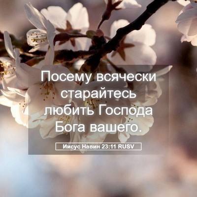 Picture 05 - Иисус Навин 23:11 RUSV - Посему всячески - Bible Verse Picture