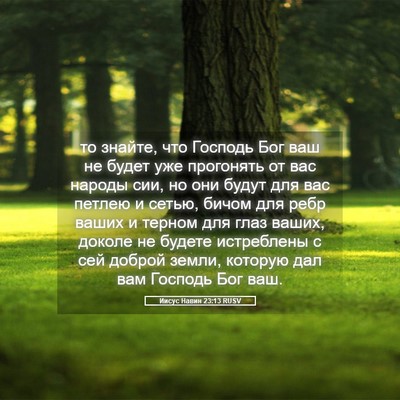 Picture 05 - Иисус Навин 23:13 RUSV - то знайте, что Господь Бог - Bible Verse Picture