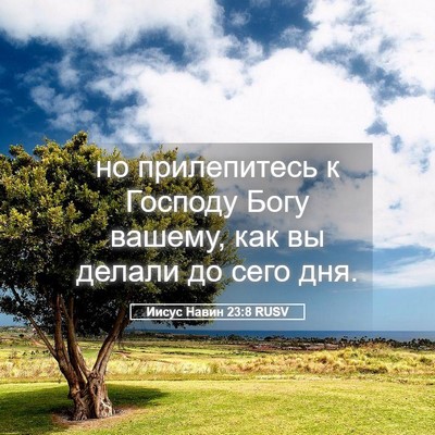 Picture 05 - Иисус Навин 23:8 RUSV - но прилепитесь к Господу - Bible Verse Picture