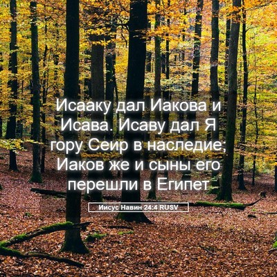 Picture 05 - Иисус Навин 24:4 RUSV - Исааку дал Иакова и Исава. - Bible Verse Picture