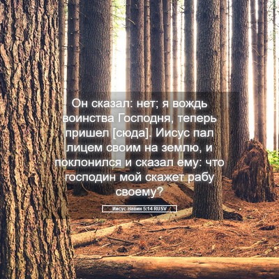 Picture 05 - Иисус Навин 5:14 RUSV - Он сказал: нет; я вождь - Bible Verse Picture