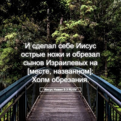 Picture 05 - Иисус Навин 5:3 RUSV - И сделал себе Иисус острые - Bible Verse Picture