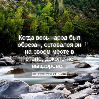 Picture 05 - Иисус Навин 5:8 RUSV - Когда весь народ был - Bible Verse Picture