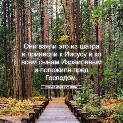 Picture 05 - Иисус Навин 7:23 RUSV - Они взяли это из шатра и - Bible Verse Picture