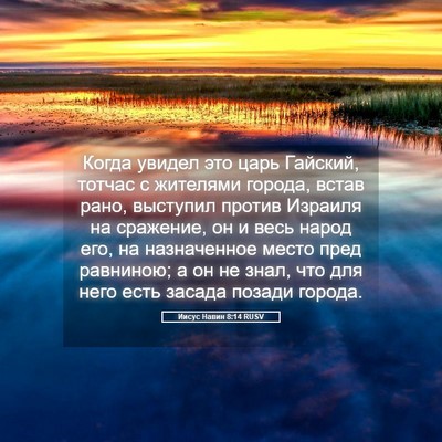 Picture 05 - Иисус Навин 8:14 RUSV - Когда увидел это царь - Bible Verse Picture