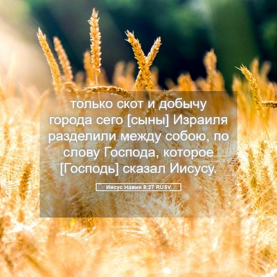 Picture 05 - Иисус Навин 8:27 RUSV - только скот и добычу - Bible Verse Picture