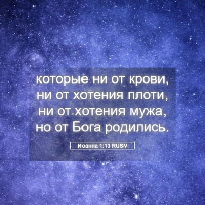Picture 05 - Иоанна 1:13 RUSV - которые ни от крови, ни от - Bible Verse Picture
