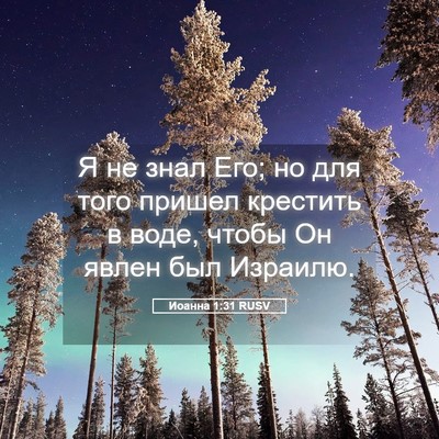 Picture 05 - Иоанна 1:31 RUSV - Я не знал Его; но для того - Bible Verse Picture