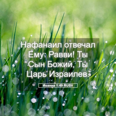 Picture 05 - Иоанна 1:49 RUSV - Нафанаил отвечал Ему: - Bible Verse Picture