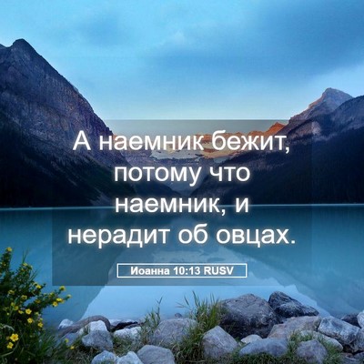 Picture 05 - Иоанна 10:13 RUSV - А наемник бежит, потому что - Bible Verse Picture