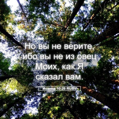 Picture 05 - Иоанна 10:26 RUSV - Но вы не верите, ибо вы не - Bible Verse Picture