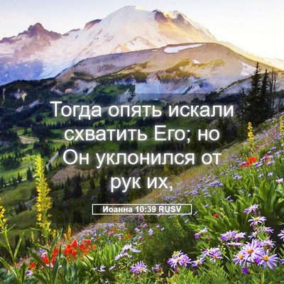 Picture 05 - Иоанна 10:39 RUSV - Тогда опять искали - Bible Verse Picture