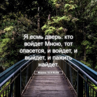 Picture 05 - Иоанна 10:9 RUSV - Я есмь дверь: кто войдет - Bible Verse Picture