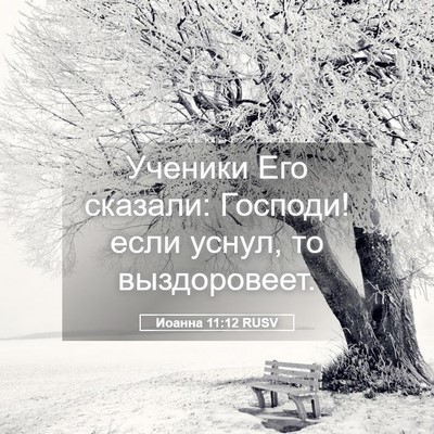 Picture 05 - Иоанна 11:12 RUSV - Ученики Его сказали: - Bible Verse Picture