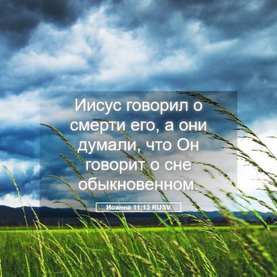 Picture 05 - Иоанна 11:13 RUSV - Иисус говорил о смерти его, - Bible Verse Picture