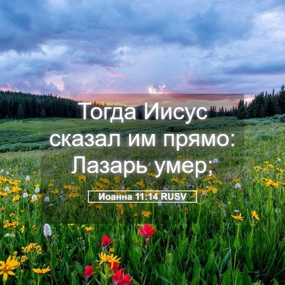 Picture 05 - Иоанна 11:14 RUSV - Тогда Иисус сказал им - Bible Verse Picture