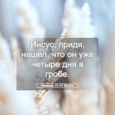 Picture 05 - Иоанна 11:17 RUSV - Иисус, придя, нашел, что он - Bible Verse Picture