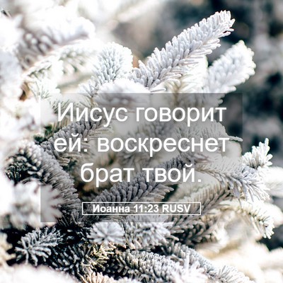 Picture 05 - Иоанна 11:23 RUSV - Иисус говорит ей: - Bible Verse Picture