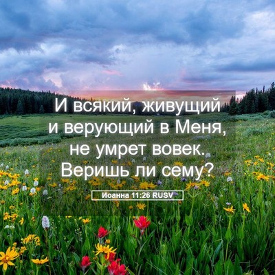 Picture 05 - Иоанна 11:26 RUSV - И всякий, живущий и - Bible Verse Picture