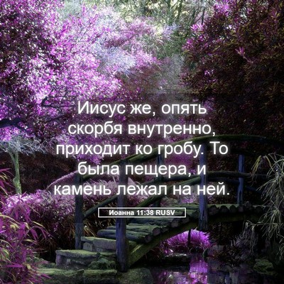 Picture 05 - Иоанна 11:38 RUSV - Иисус же, опять скорбя - Bible Verse Picture