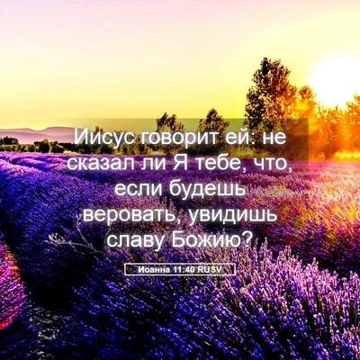 Picture 05 - Иоанна 11:40 RUSV - Иисус говорит ей: не сказал - Bible Verse Picture