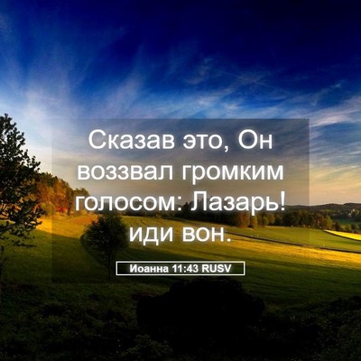 Picture 05 - Иоанна 11:43 RUSV - Сказав это, Он воззвал - Bible Verse Picture