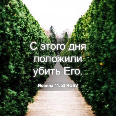 Picture 05 - Иоанна 11:53 RUSV - С этого дня положили убить - Bible Verse Picture