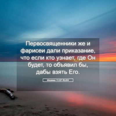 Picture 05 - Иоанна 11:57 RUSV - Первосвященники же и - Bible Verse Picture