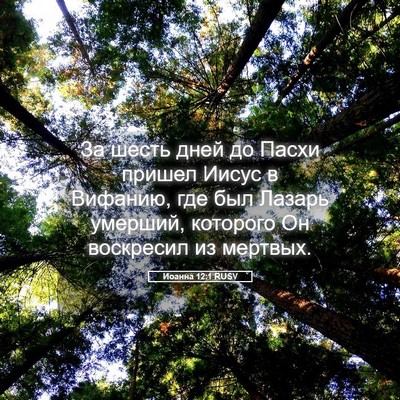 Picture 05 - Иоанна 12:1 RUSV - За шесть дней до Пасхи - Bible Verse Picture