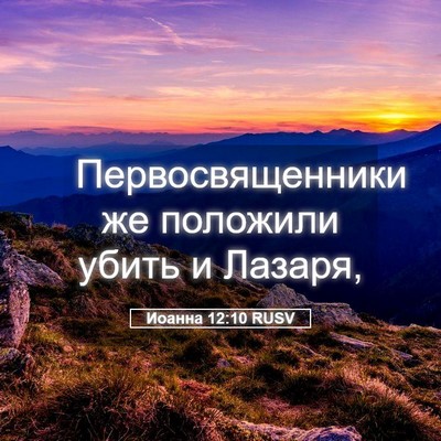 Picture 05 - Иоанна 12:10 RUSV - Первосвященники же - Bible Verse Picture