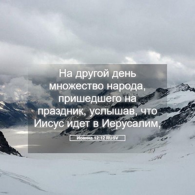 Picture 05 - Иоанна 12:12 RUSV - На другой день множество - Bible Verse Picture