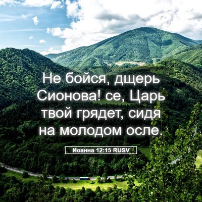Picture 05 - Иоанна 12:15 RUSV - Не бойся, дщерь Сионова! се, - Bible Verse Picture