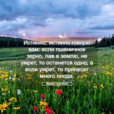Picture 05 - Иоанна 12:24 RUSV - Истинно, истинно говорю - Bible Verse Picture