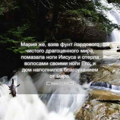 Picture 05 - Иоанна 12:3 RUSV - Мария же, взяв фунт - Bible Verse Picture